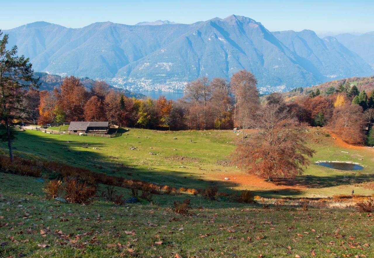 B&B Aquarelle Faggeto Lario Luaran gambar